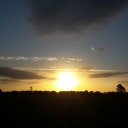 ramblebramblefun avatar