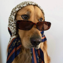 ramona-sourdough avatar