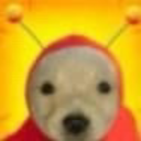 rando-with-a-sideblog avatar