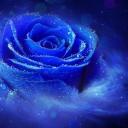 random-facts-and-cool-stuff avatar