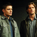 random-multifandom-imagines avatar