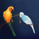 random-parrot-lover avatar