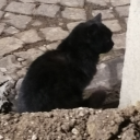 randomnamehelp avatar