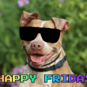 randomwaverunner66 avatar