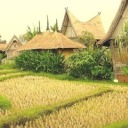 rantingcanadian avatar