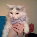 rararafeathers avatar