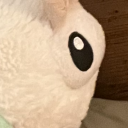 rarepairnation avatar