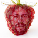 raspbarrygibb avatar