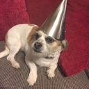 raspberrycheesecakeandsprinkles avatar