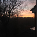 raspberrygashes avatar