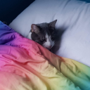 raspberrypopsicle avatar