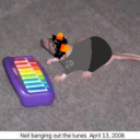 ratboyspamton avatar