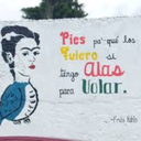 ratchet-ass-pelican avatar