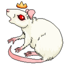 ratqueen avatar