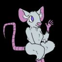 rats-are-here avatar