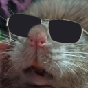 rats-wearing-sunglasses avatar