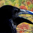 ravensarca avatar