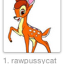 rawpussycat avatar