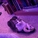 razzledazzle247 avatar