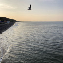 razzledazzlex avatar