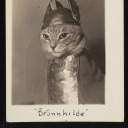 reachthebluedot avatar