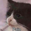 readerihardlyknowher avatar