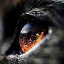 readerwinterbarnes avatar