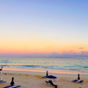 readmelikeaqueue avatar