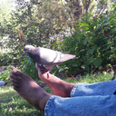 readwritefight avatar