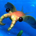 realanomalocaris avatar