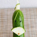 realityhologram avatar