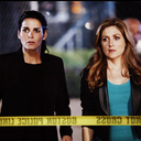 reallyrizzoliandisles avatar