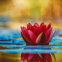 realmofmydreams1999 avatar