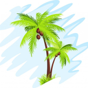 realpalmtrees avatar