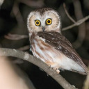 reblogsforfun avatar