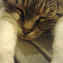 rebuildingme-epistleblog avatar