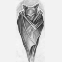 reckless-angel42 avatar