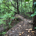 recovering-lunatic avatar