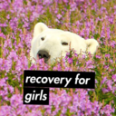 recoveryforgirls avatar