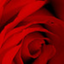 redbrickrose avatar