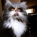 redgetrek-mod avatar