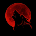 redmoonwolf1495 avatar