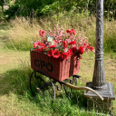 reduced-sour-cream avatar