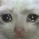 reekachuichooseyou avatar