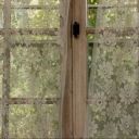 refusetodisappear avatar