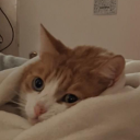 regenerative-farming avatar