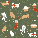 reluctantfir0 avatar