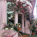 rememberthatdream avatar