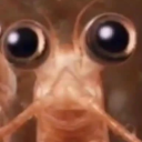 rememberthegarden avatar