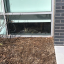 rememberwhyyoudothis avatar